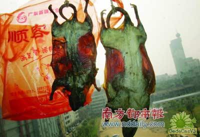 超市腊味柜台出售老鼠干 员工称很好卖(图)